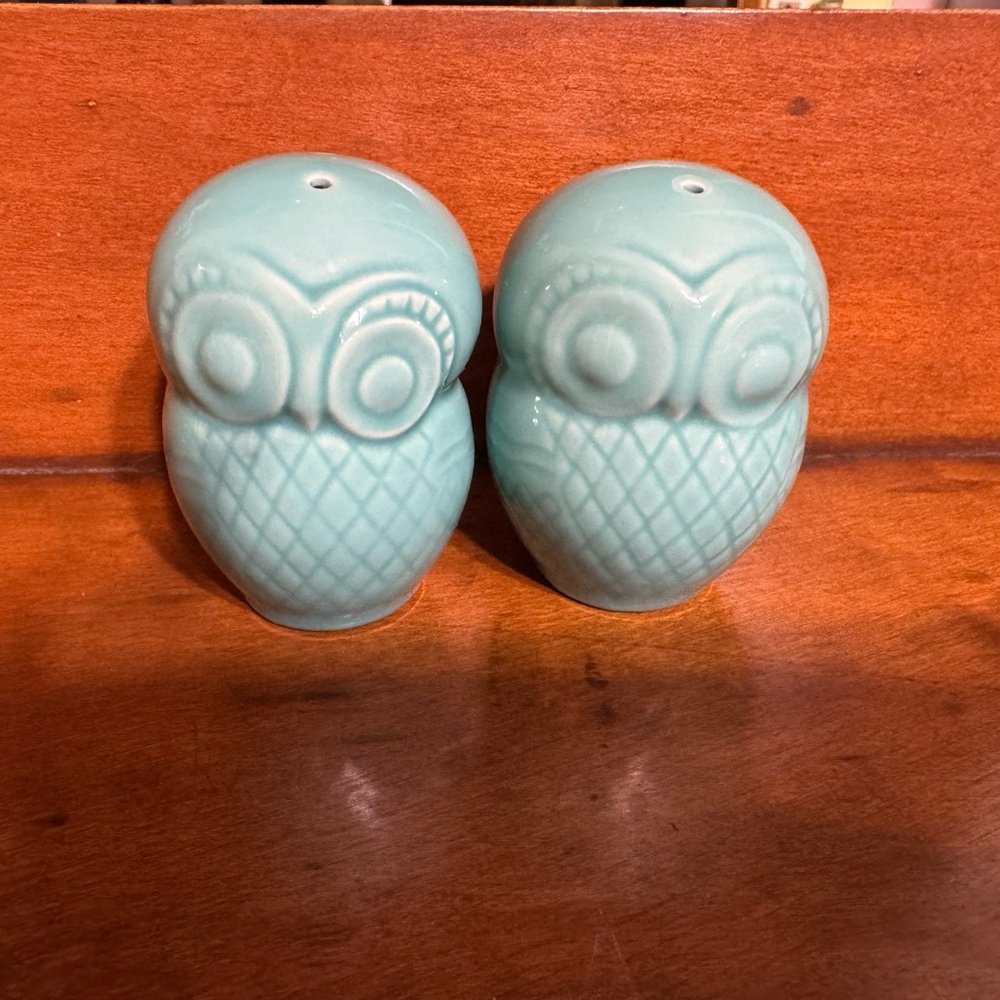 Ceramic Owl Salt and Pepper Shaker Set - Aqua